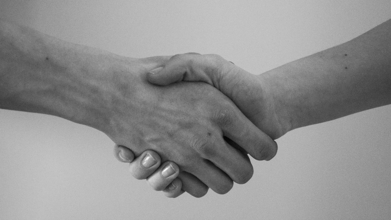 protocollo notizia comunicato copia