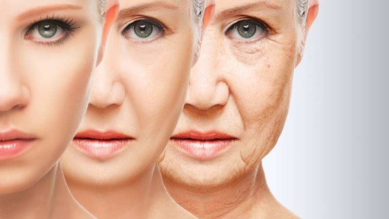 shutterstock 218870788 800x450