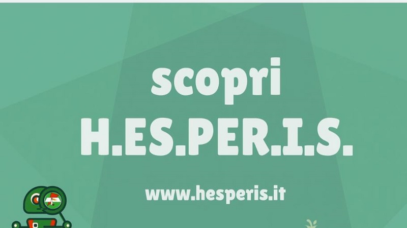 hesperis
