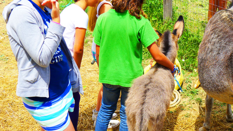 img educazione ambientale 004