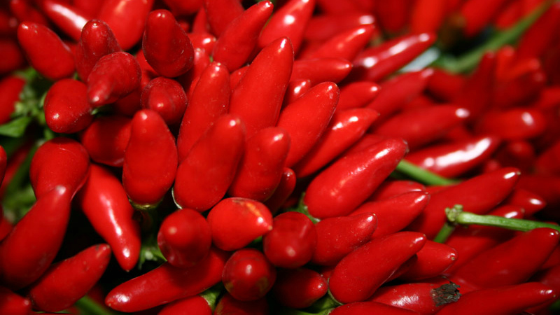 peperoncino