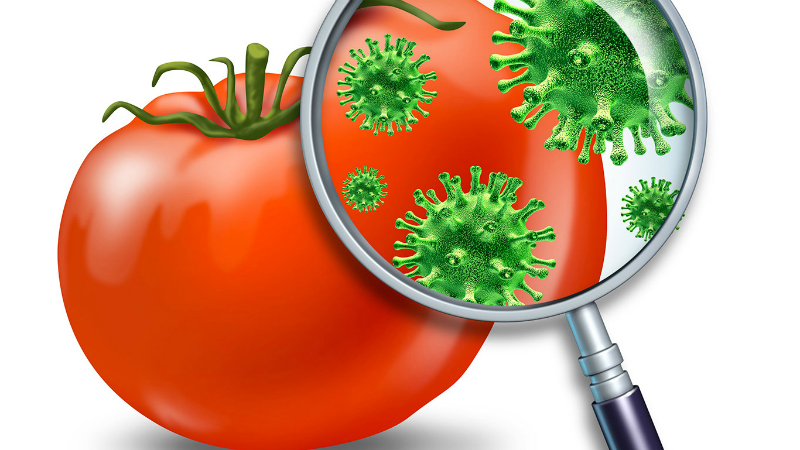 sicurezza alimentare